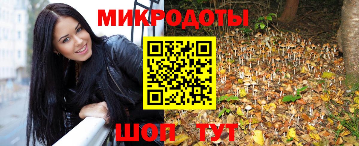 Псилоцибиновые грибы Psilocybe  Вход с VPN  Балашиха 